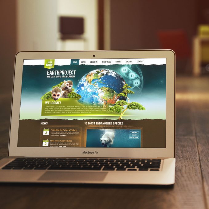 Earth Project
